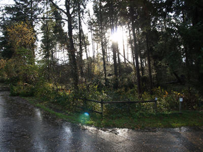 Wald "gelichtet"