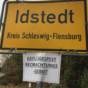 Geflügelpestgefahr 