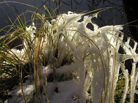 Frostige Stimmung?