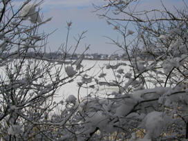 Winterlicher Blick auf den Idstedter See