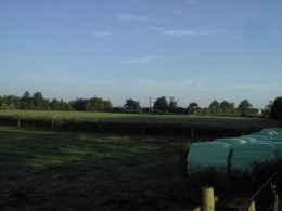 Neubaugebiet