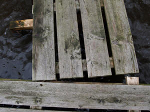 Der neue Steg an der Steinbuch