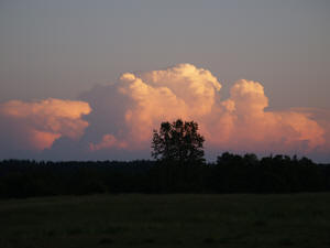 Wolken am Abend