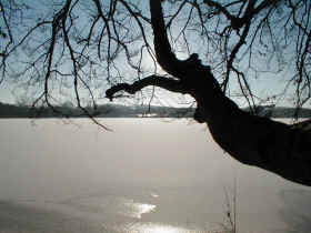 An der Steinbucht