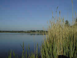 An der Badestelle
