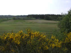 Ene sch�ne Sauerei!